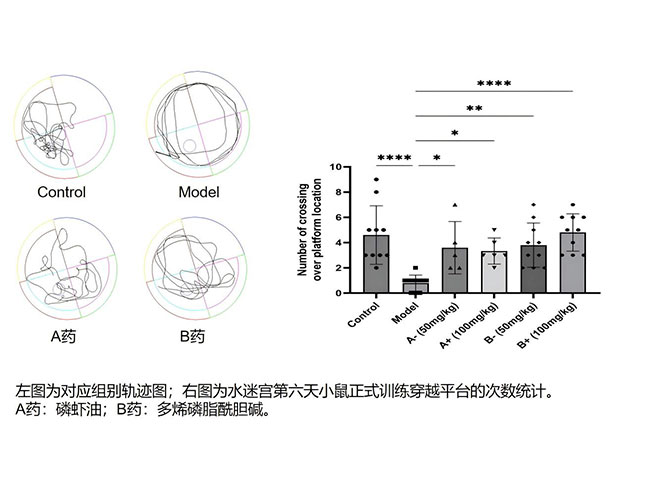 药物递送系统（辅料）