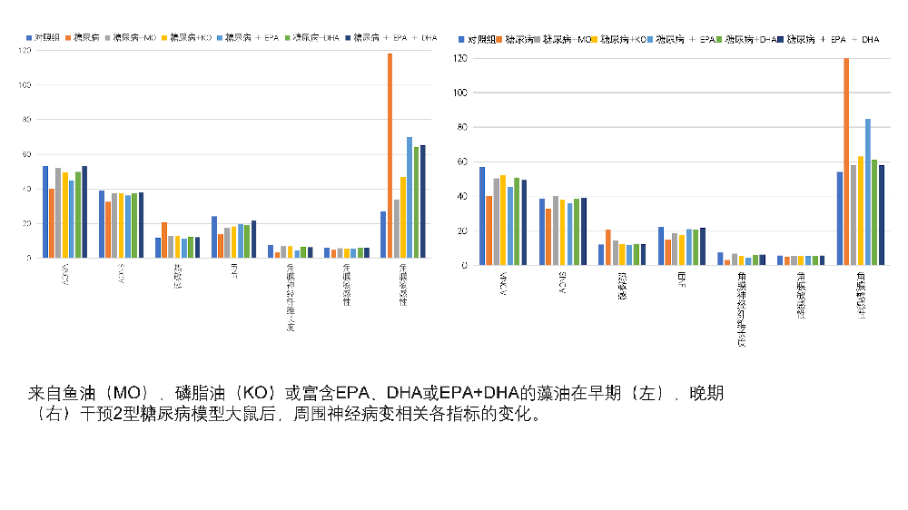 文献精读-不同来源ω-3多不饱和脂肪酸 对2型糖尿病周围神经病变的治疗效果比较