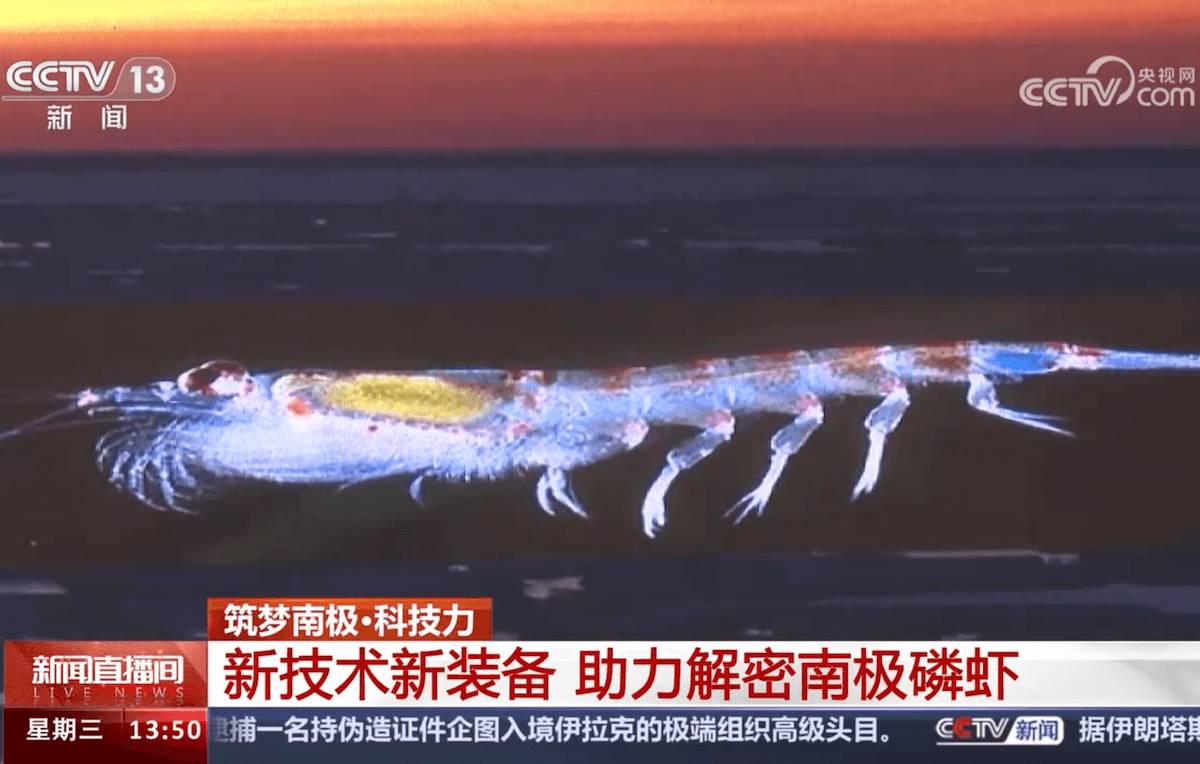 央视报道：筑梦南极·科技力 新技术新装备 助力解密南极磷虾