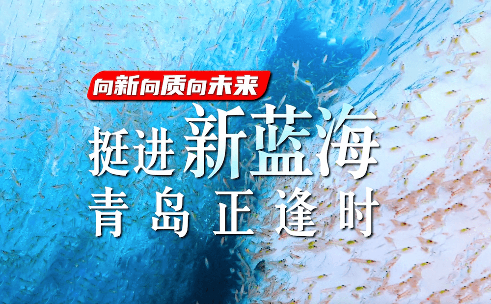 【QMG青岛广电】探访青岛新质生产力—小磷虾撬动百亿大市场，解码海洋经济新动力