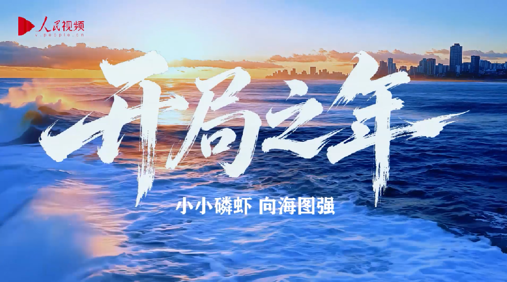 【人民视频·开局之年丨小小磷虾 向海图强】